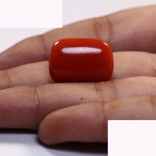Natural Coral 15.86 Ct.