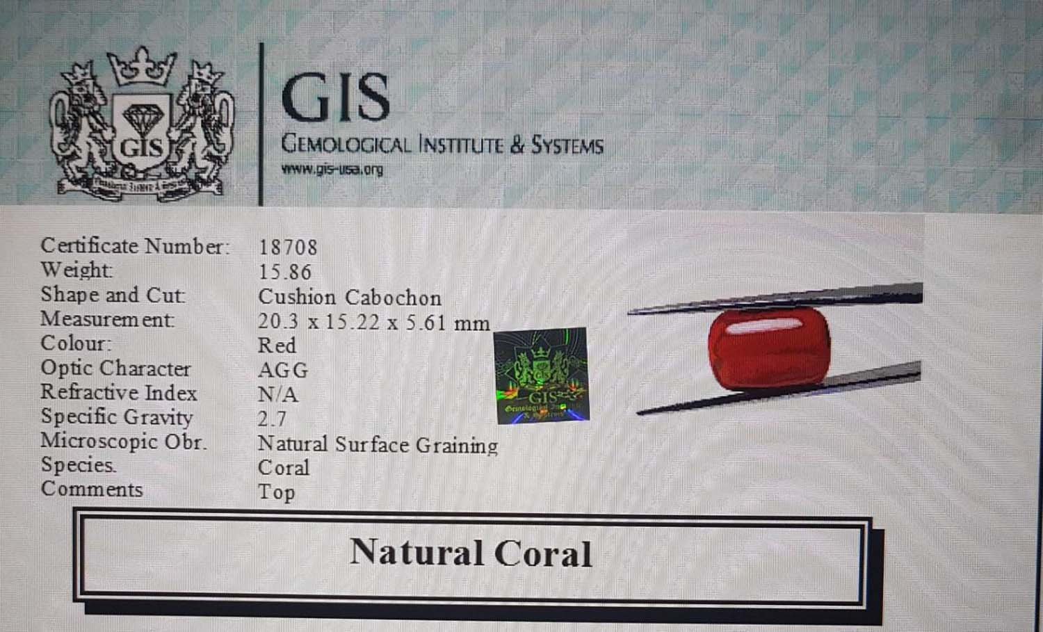 Natural Coral 15.86 Ct.