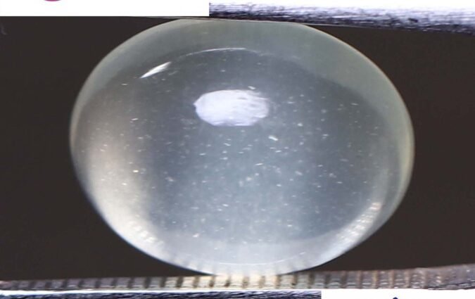 NMS748 1 e1679298043819 Moonstone 2.94 Ct.