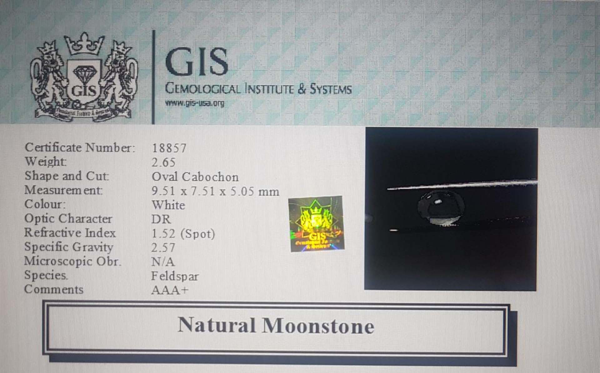 Moonstone 2.65 Ct.
