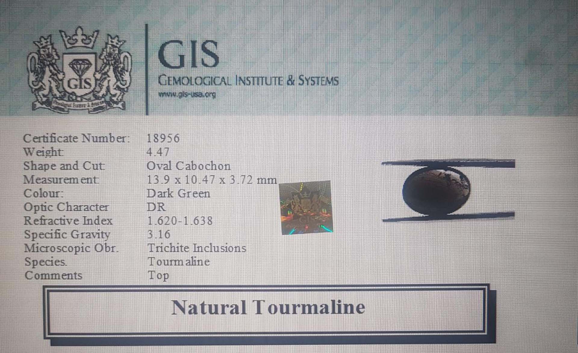 Tourmaline 4.47 Ct.