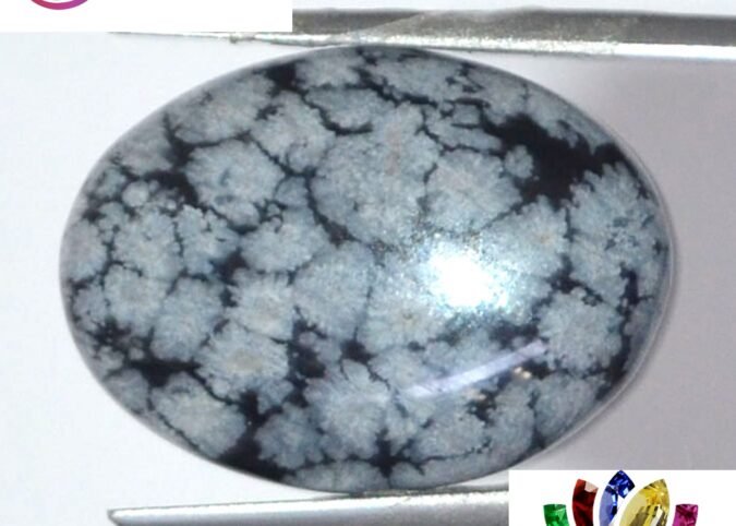 OBS119 1 e1679655116775 Obsidian 16.93 Ct.