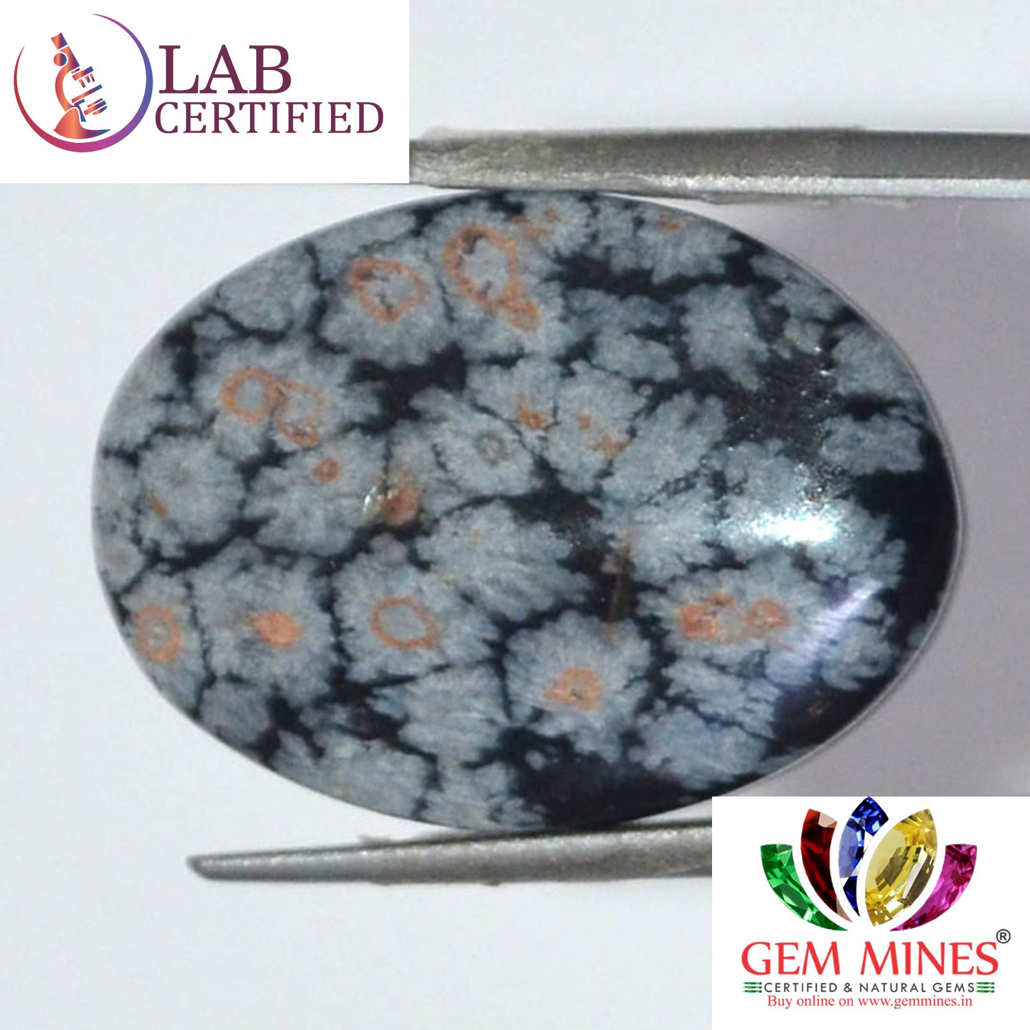 OBS119 2 Obsidian 16.93 Ct.