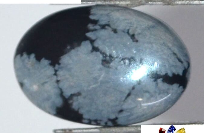 Obsidian 6.97 Ct.