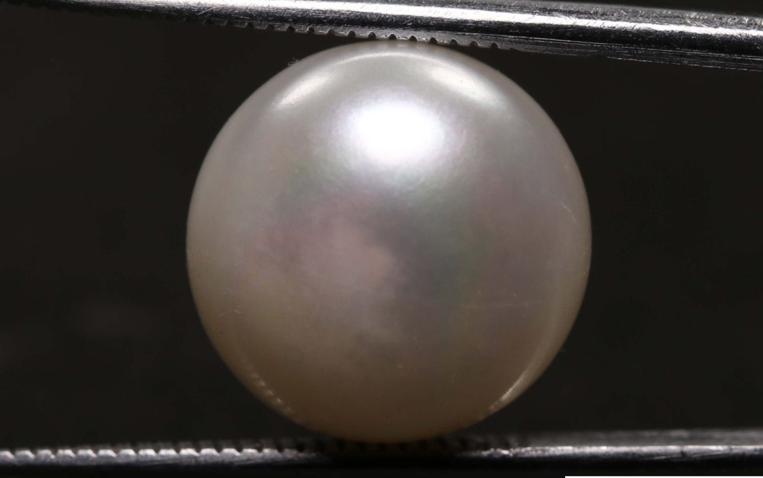 Pearl 11.87 Ct.