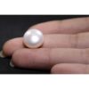 Pearl 11.05 Ct.