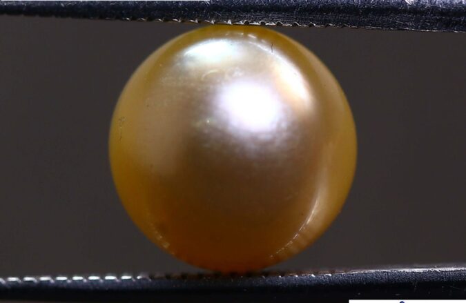 PEARL 6.56 Ct.