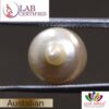 PEARL 6.53 Ct.