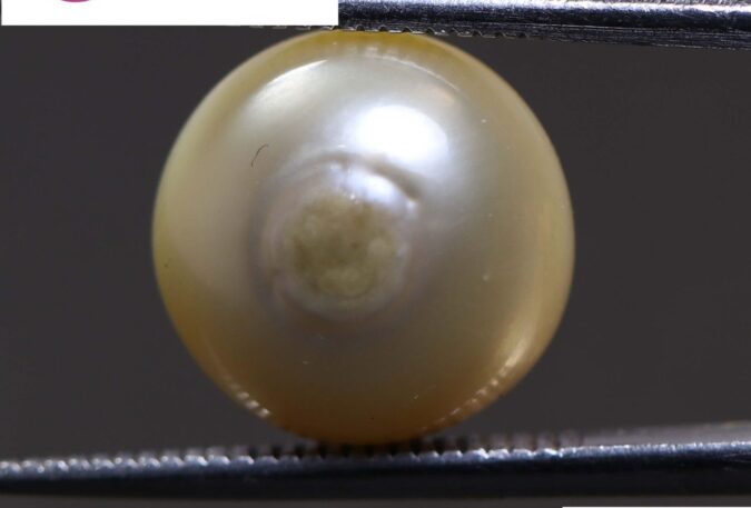 PEARL 9.66 Ct.