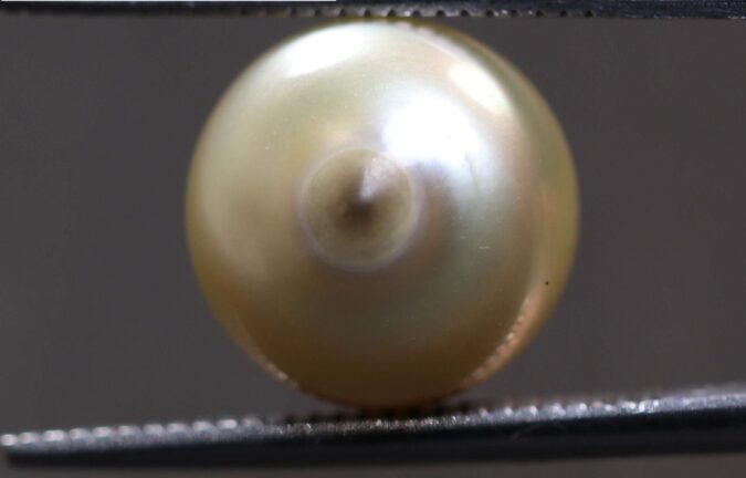 PEARL 7.95 Ct.