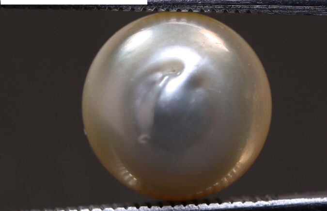 PEARL 7.74 Ct.