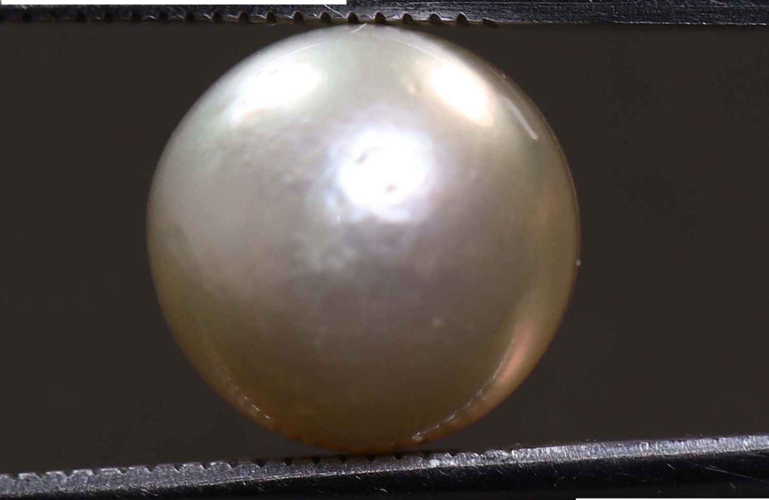 PEARL 7.78 Ct.