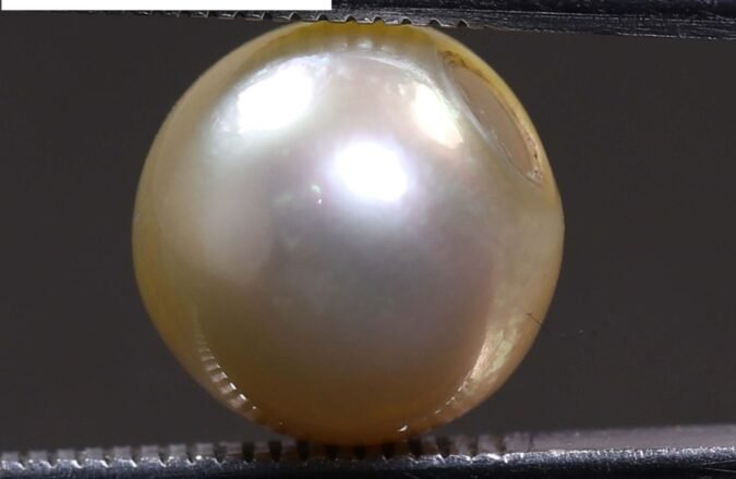 PRL1911 1 e1678445268737 PEARL 7.52 Ct.