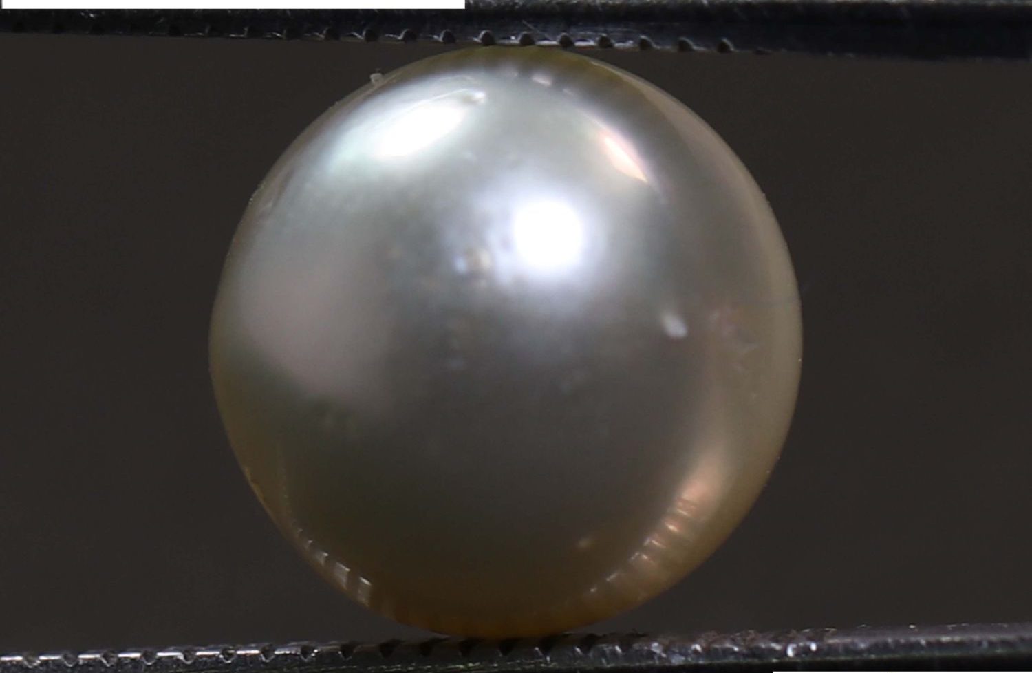 PEARL 5.91 Ct.