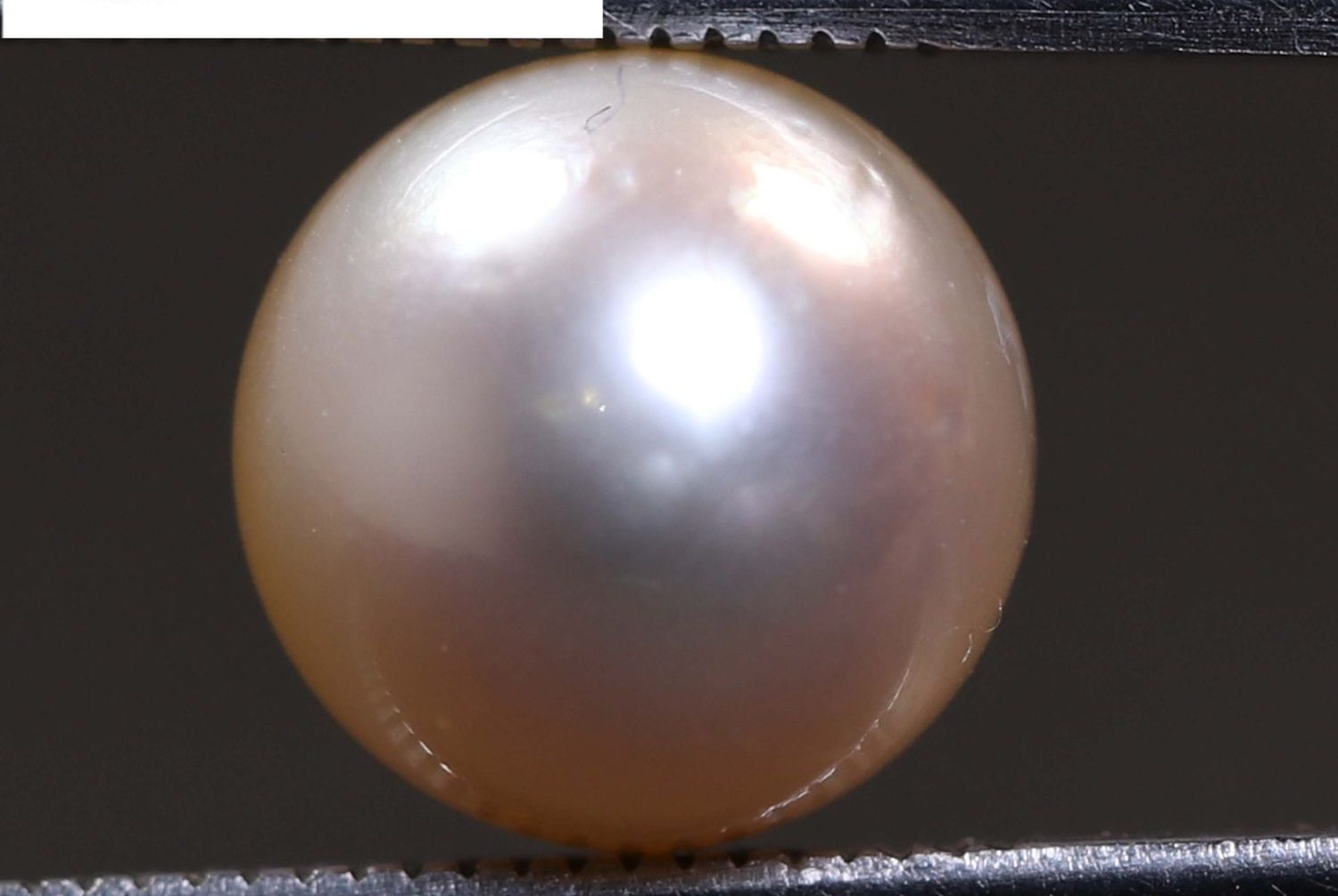 PEARL 6.64 Ct.