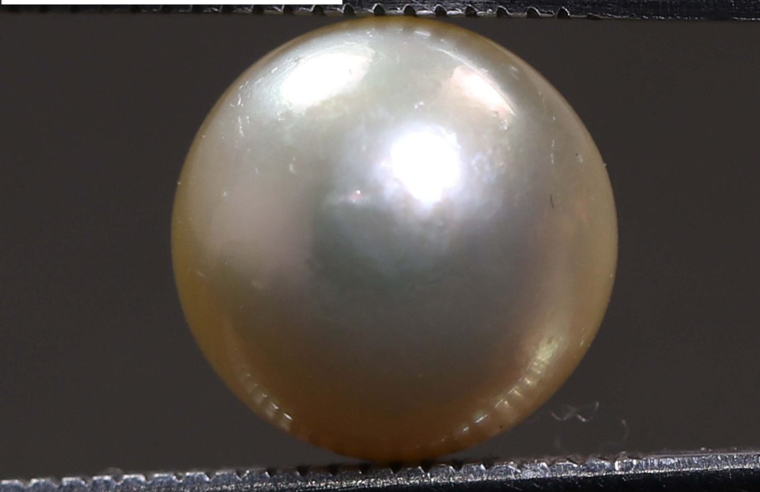 PEARL 5.02 Ct.
