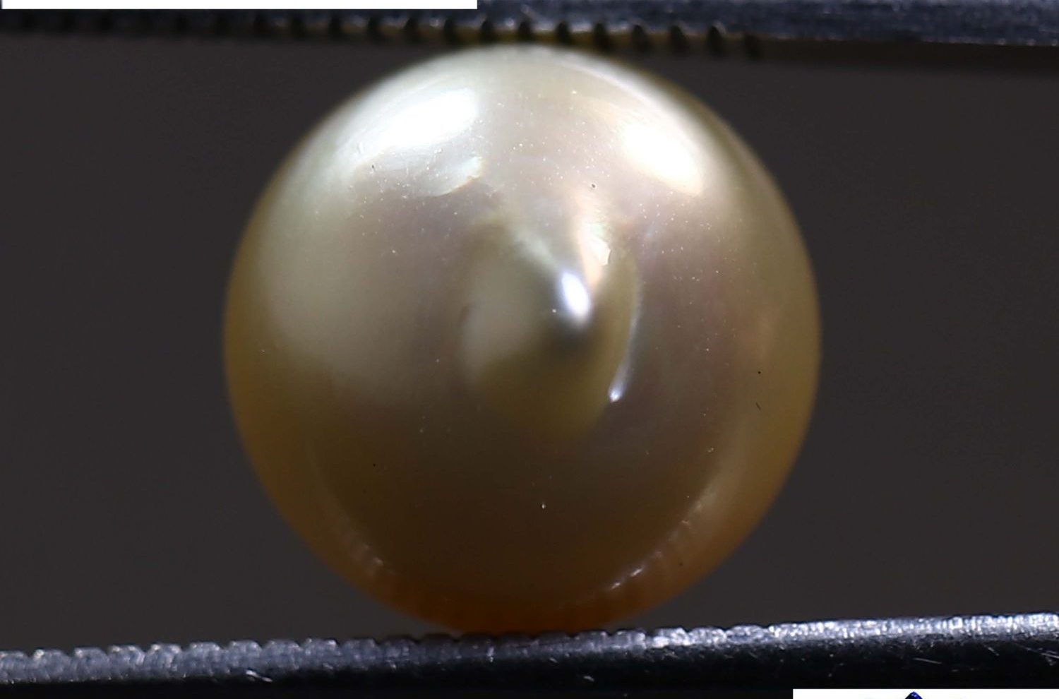 PEARL 6.9 Ct.