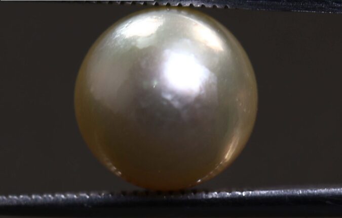 PEARL 7.62 Ct. 1 PRL1943 1 e1678450439678 PEARL 7.62 Ct.