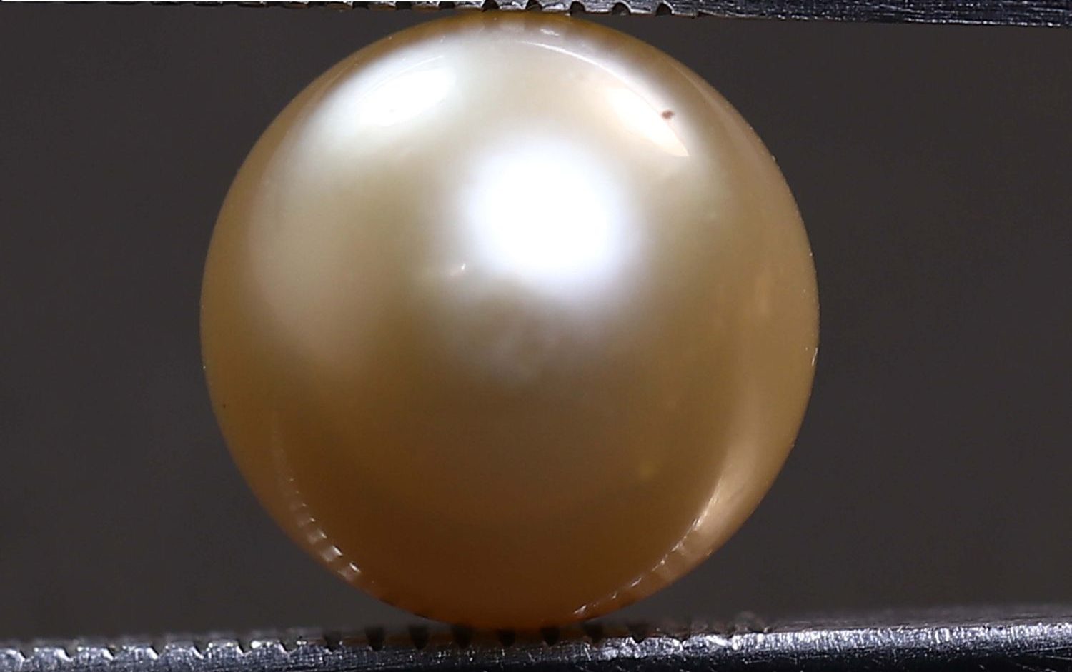 PEARL 5.46 Ct.