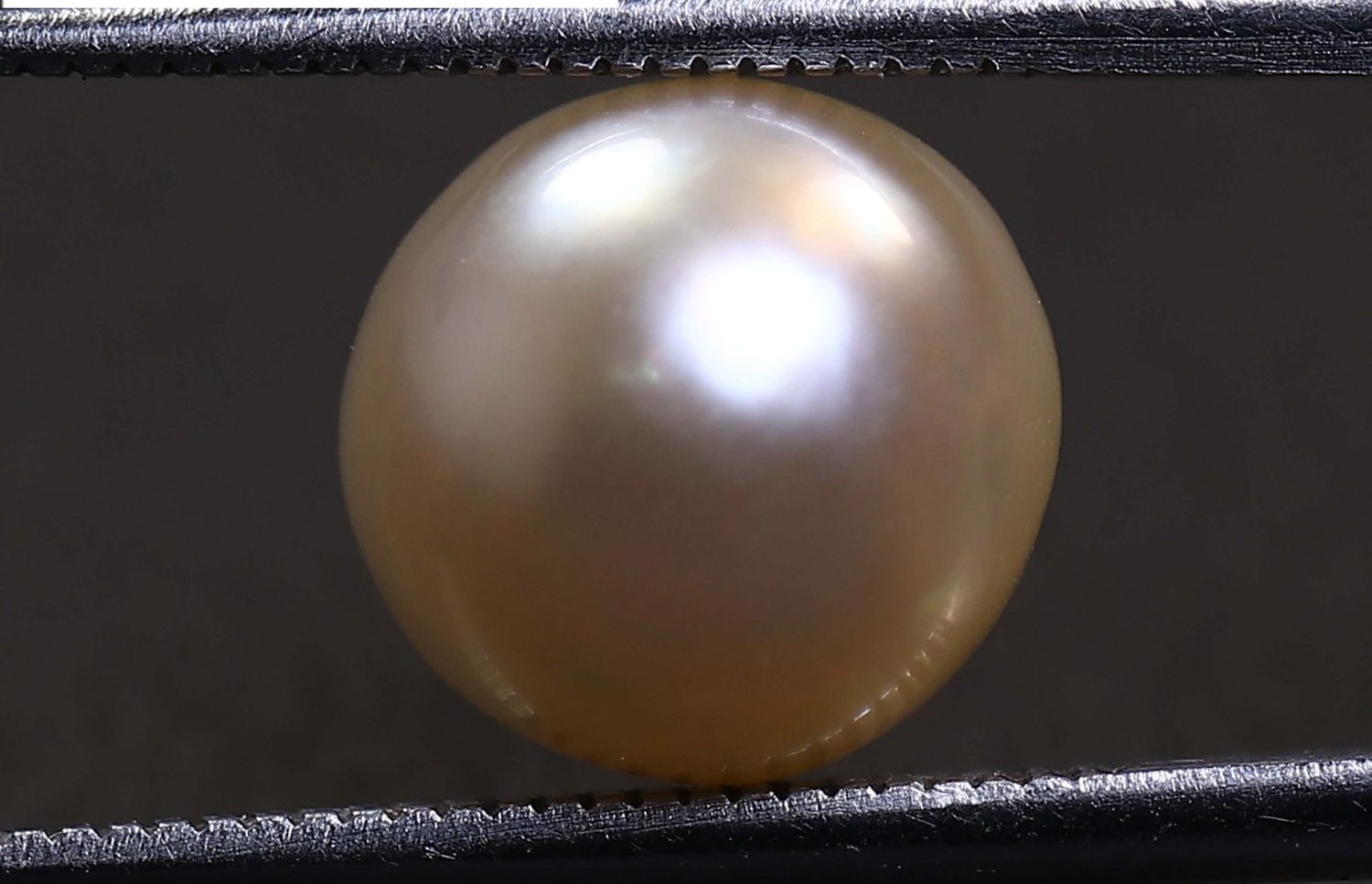 PEARL 6.72 Ct.