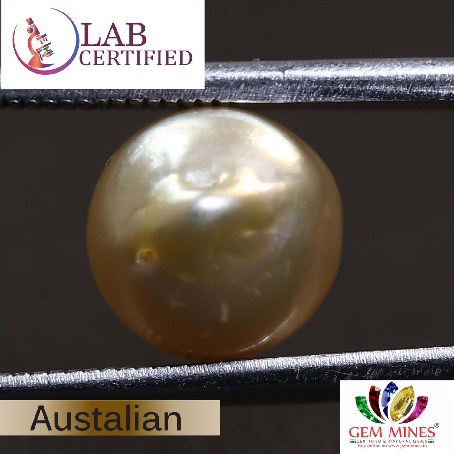 PRL1954 2 PEARL 5.63 Ct.