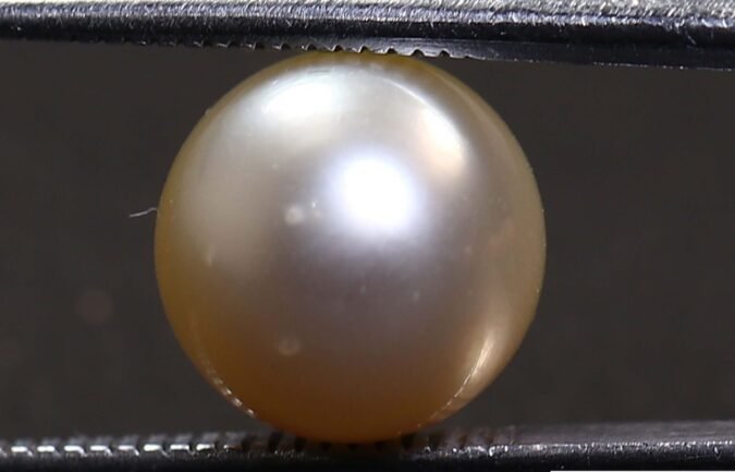 PRL1956 1 e1678451144916 PEARL 6.16 Ct.