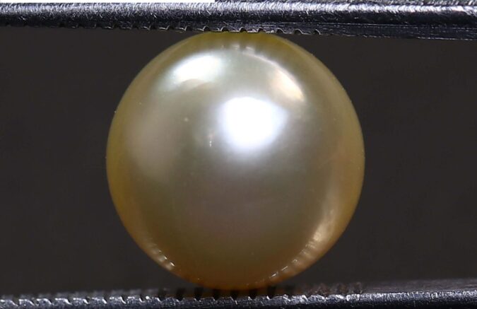 PRL1959 1 e1678451110726 PEARL 5.52 Ct.