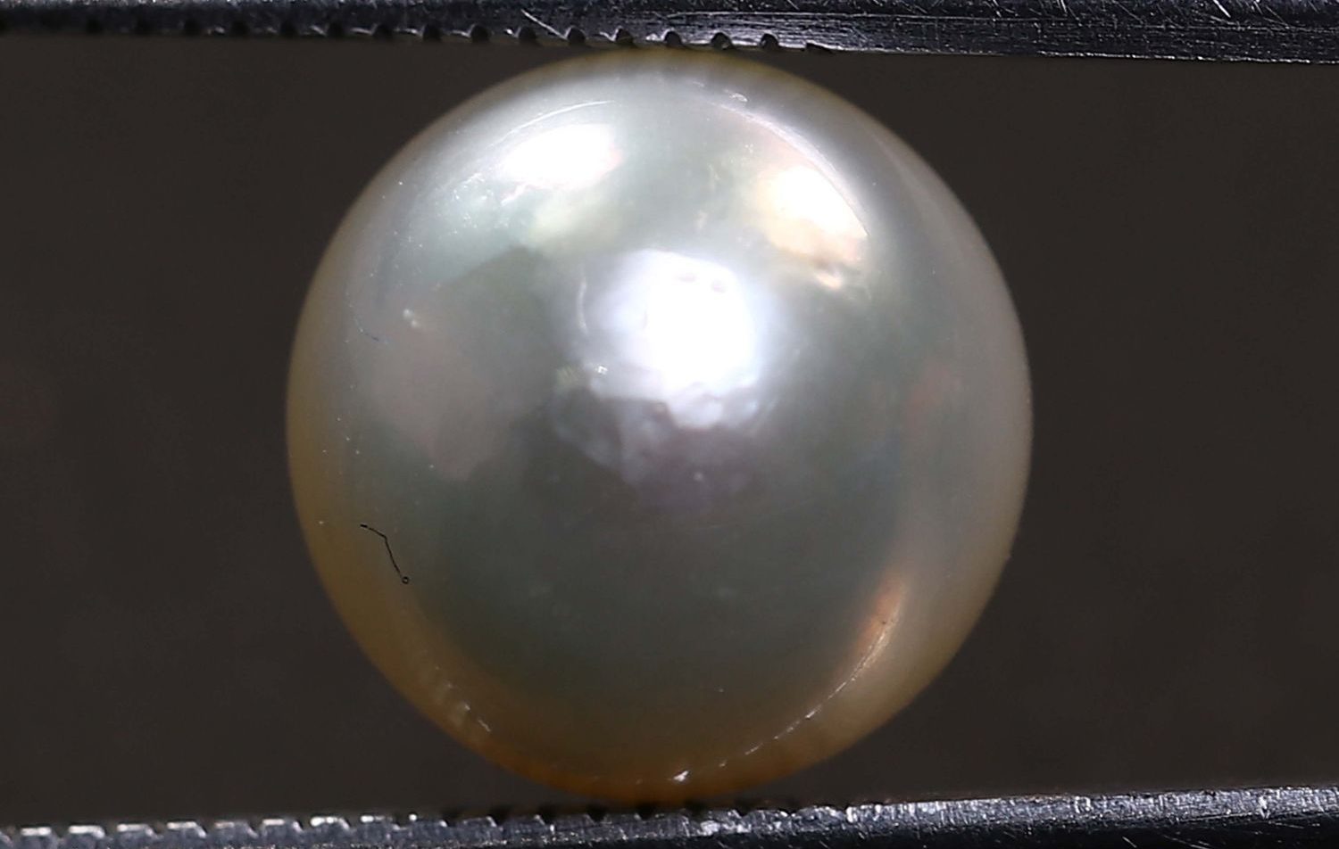 PRL1961 1 e1678535627302 PEARL 6.71 Ct.