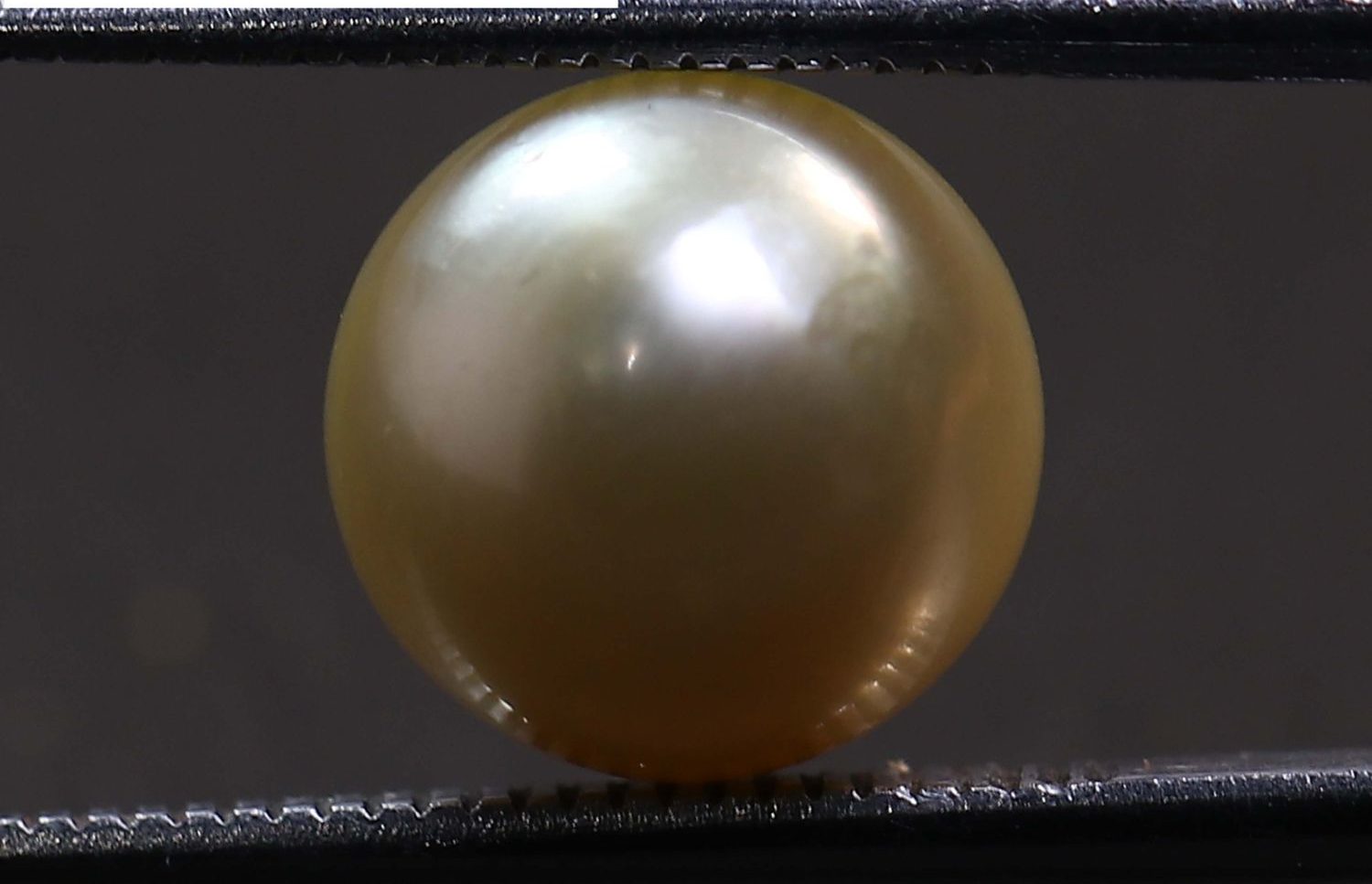 PRL1966 1 e1678536014901 PEARL 5.66 Ct.