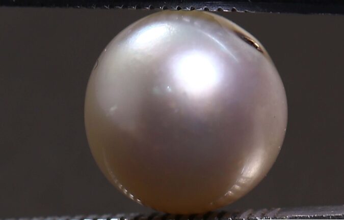 PRL1985 1 e1678868889951 PEARL 5.51 Ct.