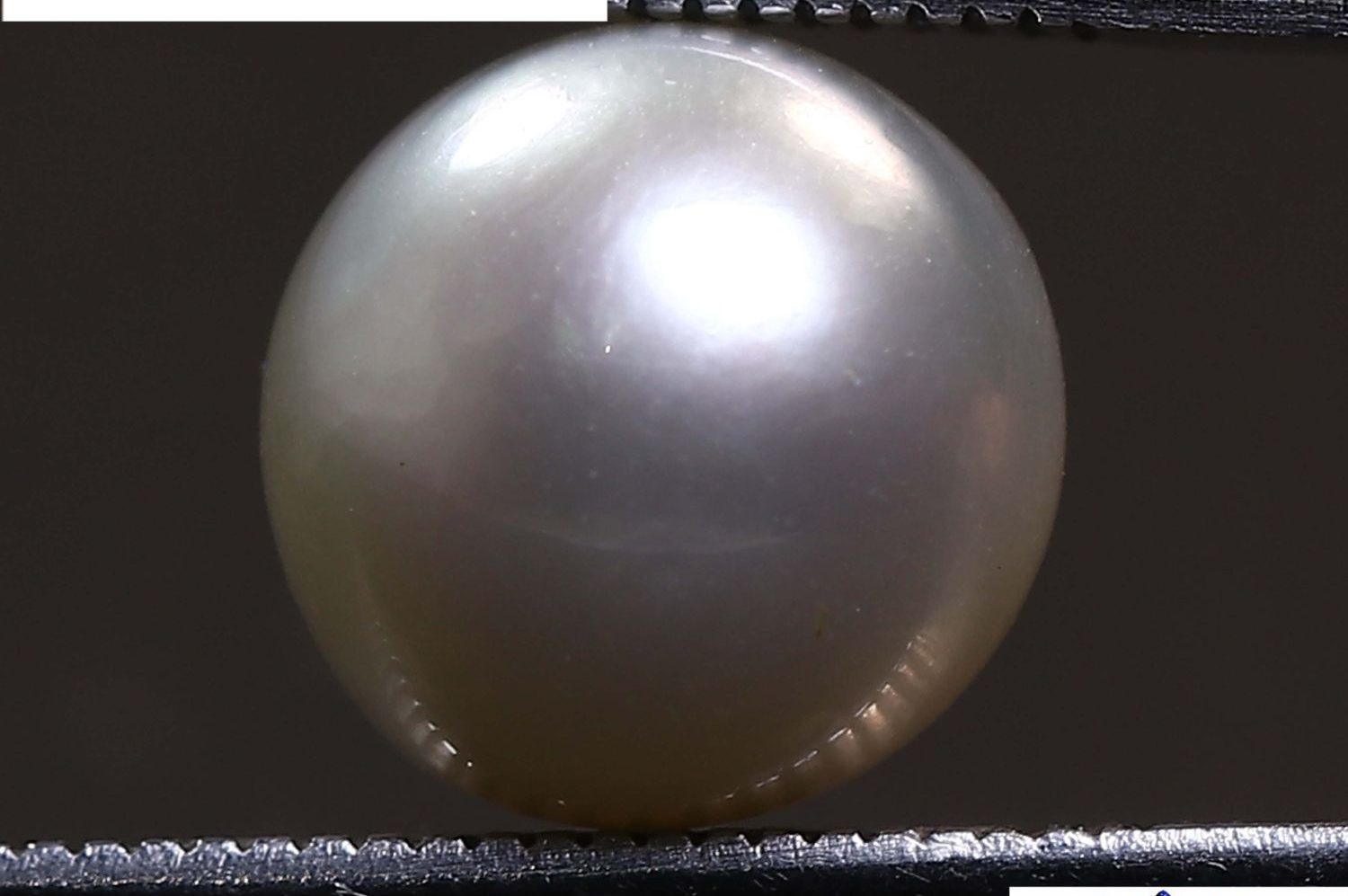 PEARL 5.63 Ct.
