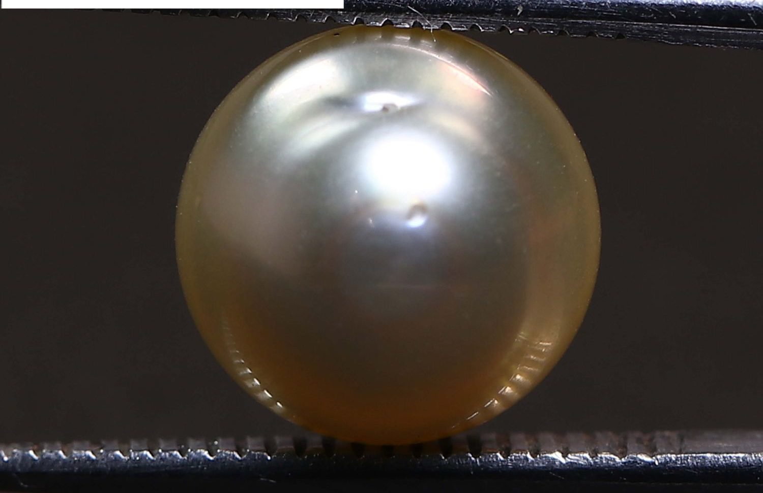 PEARL 5.23 Ct.