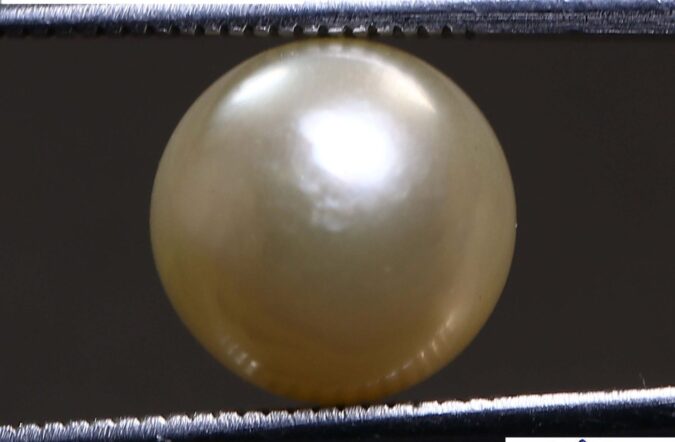 PRL2003 1 e1678869837541 PEARL 6.2 Ct.