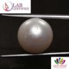 Pearl 12.04 Ct.