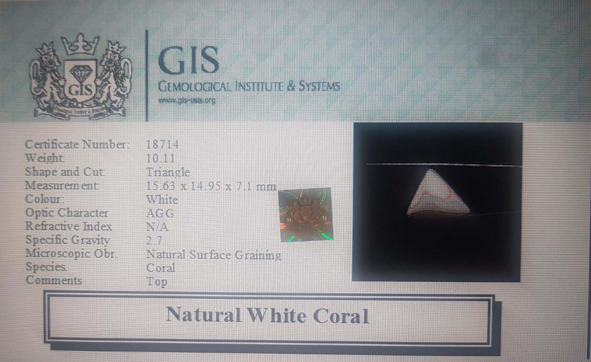 White Coral 10.11 Ct.