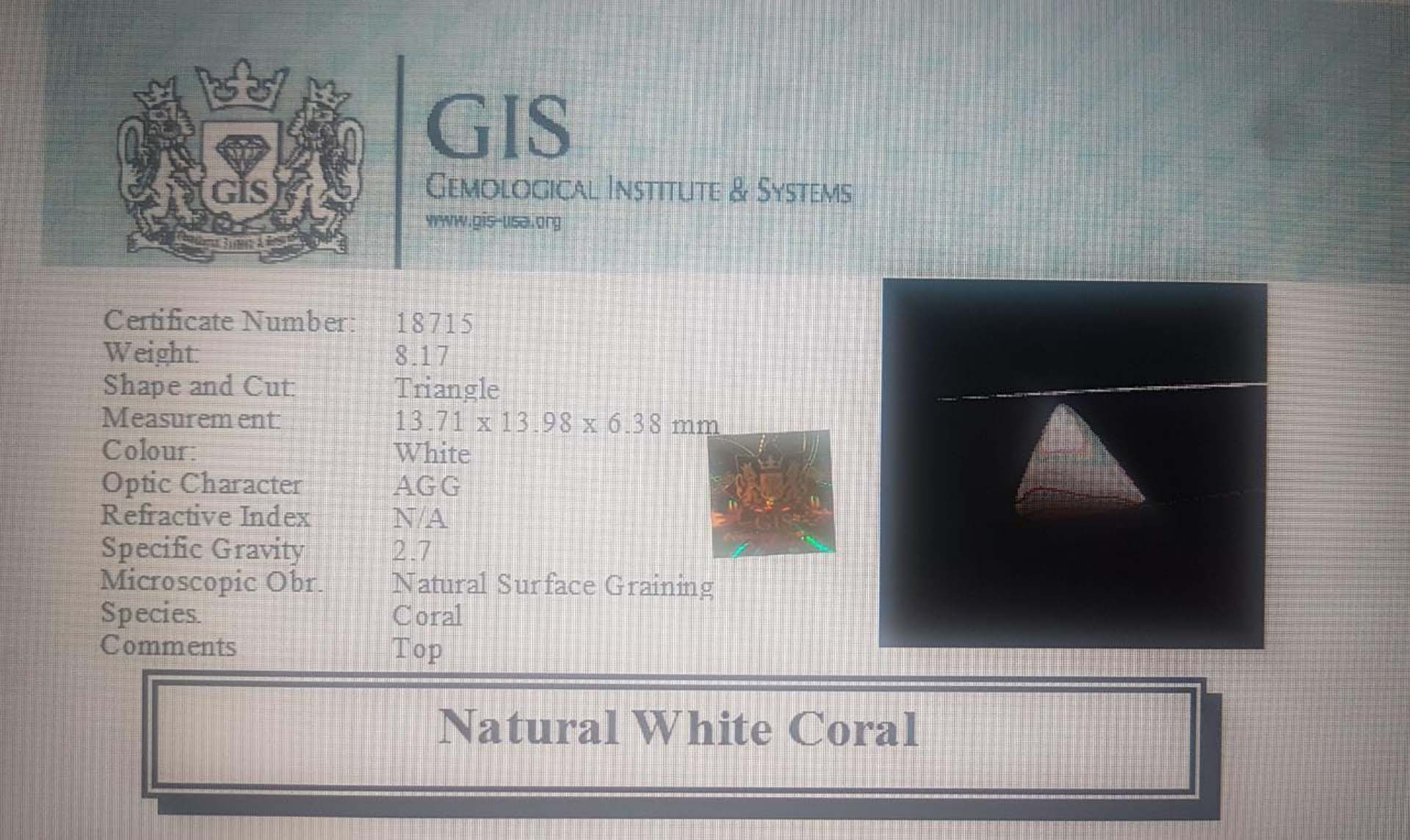 White Coral 8.17 Ct.