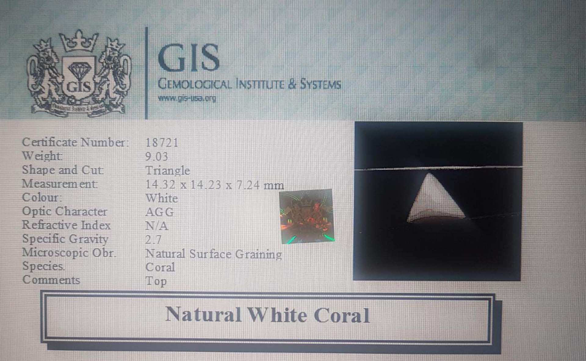 White Coral 9.03 Ct.