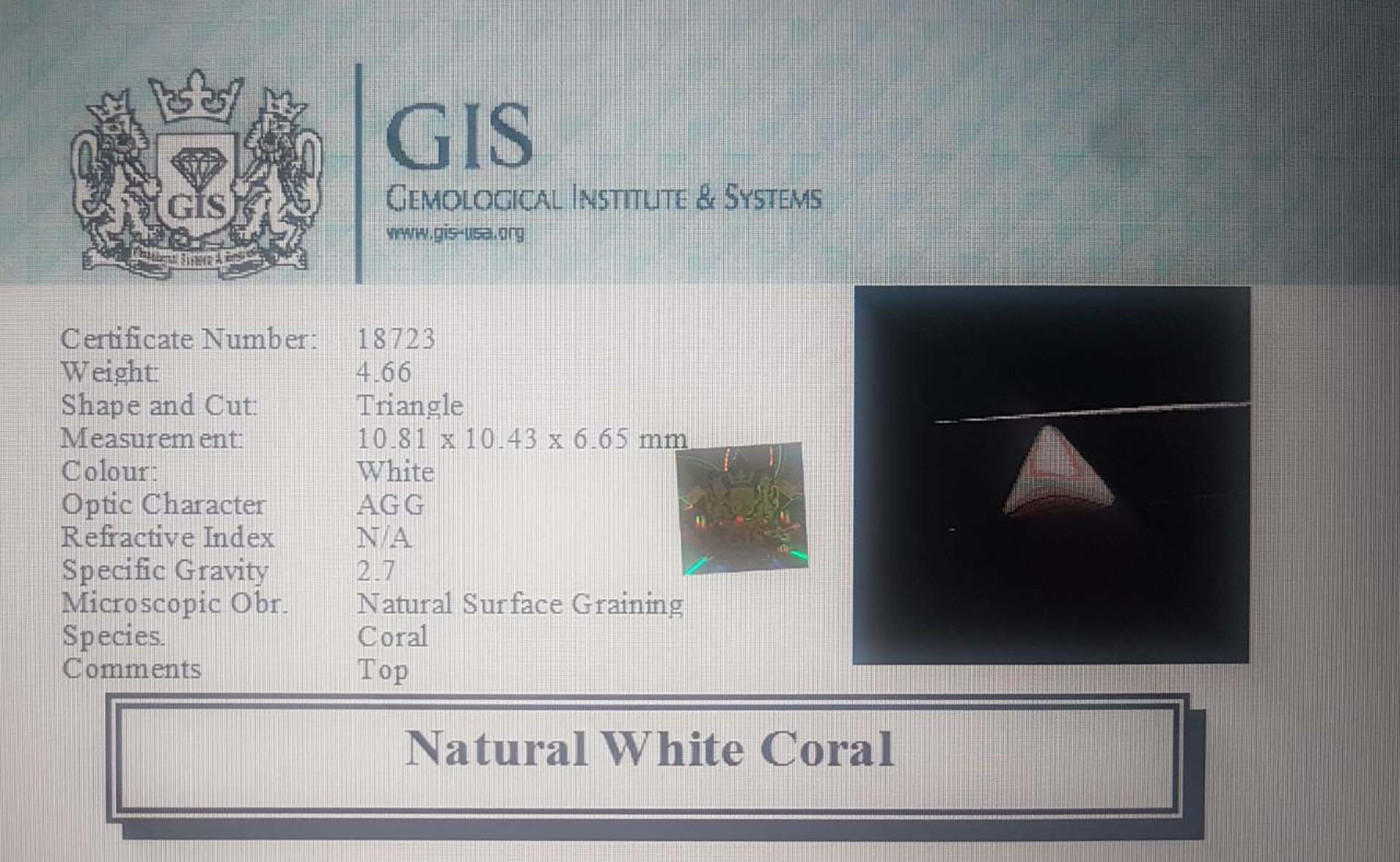 White Coral 4.66 Ct.