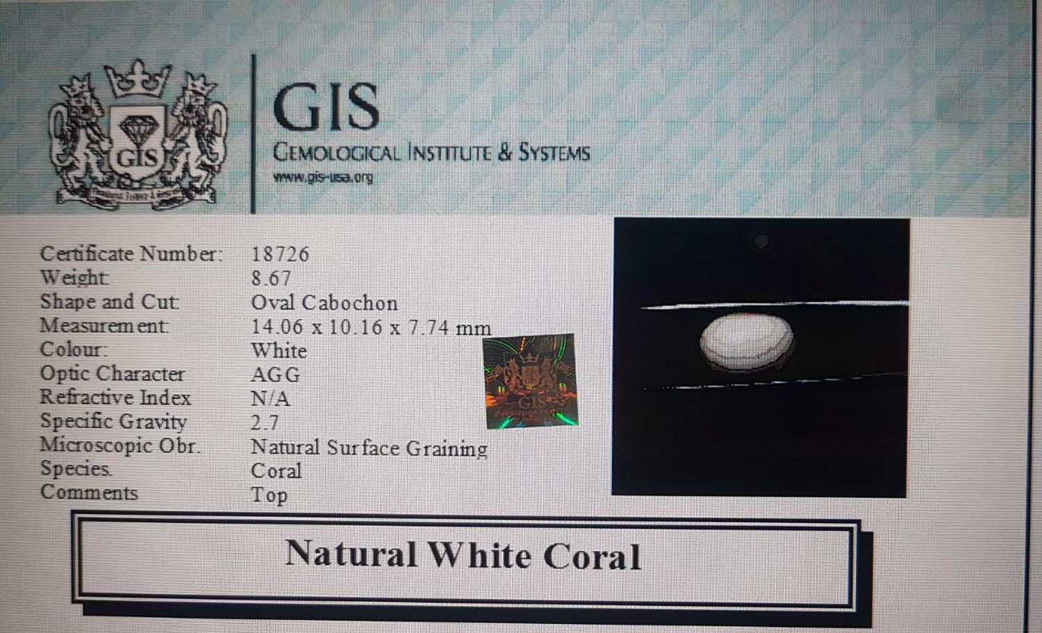 White Coral 8.67 Ct.