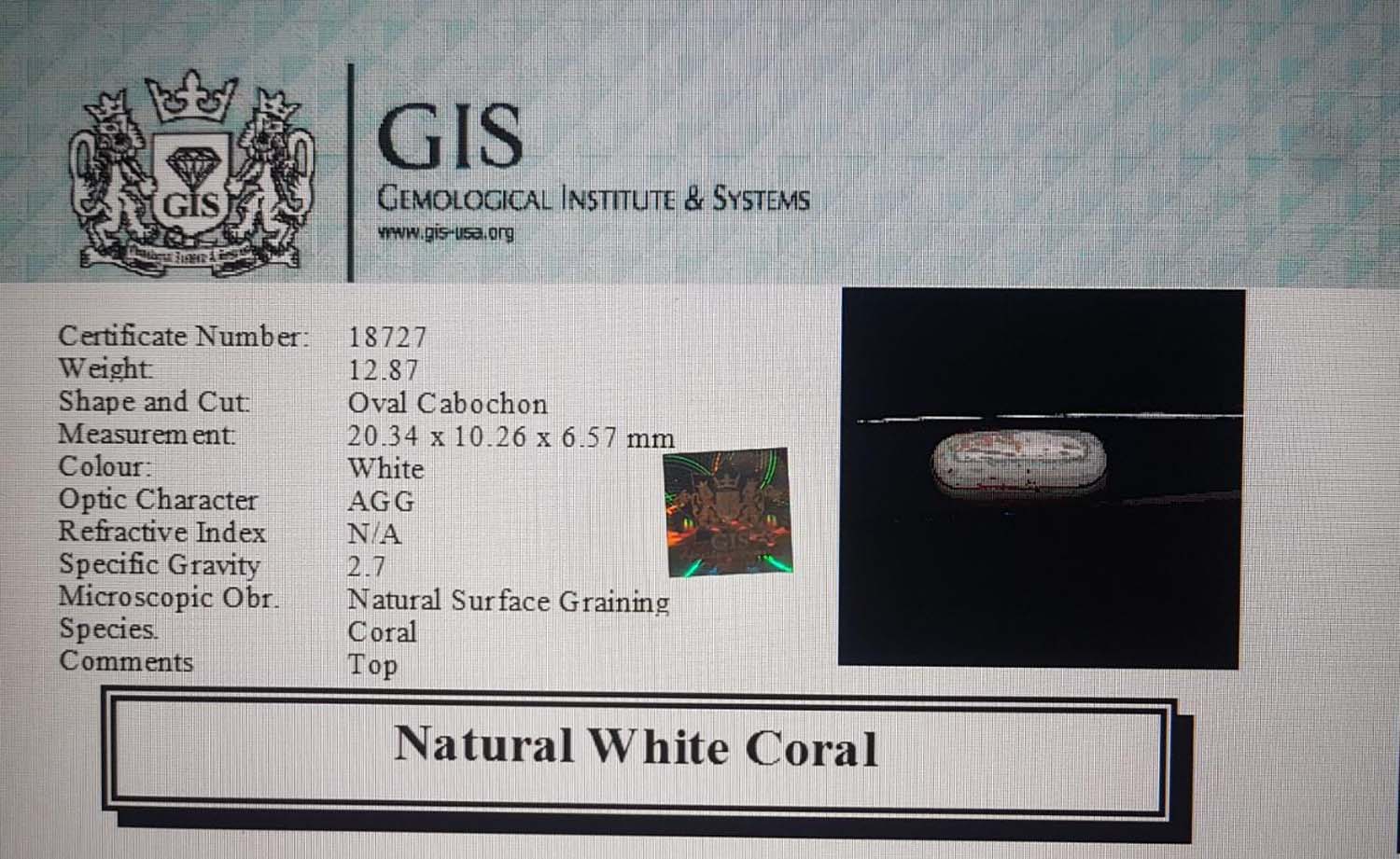 White Coral 12.87 Ct.