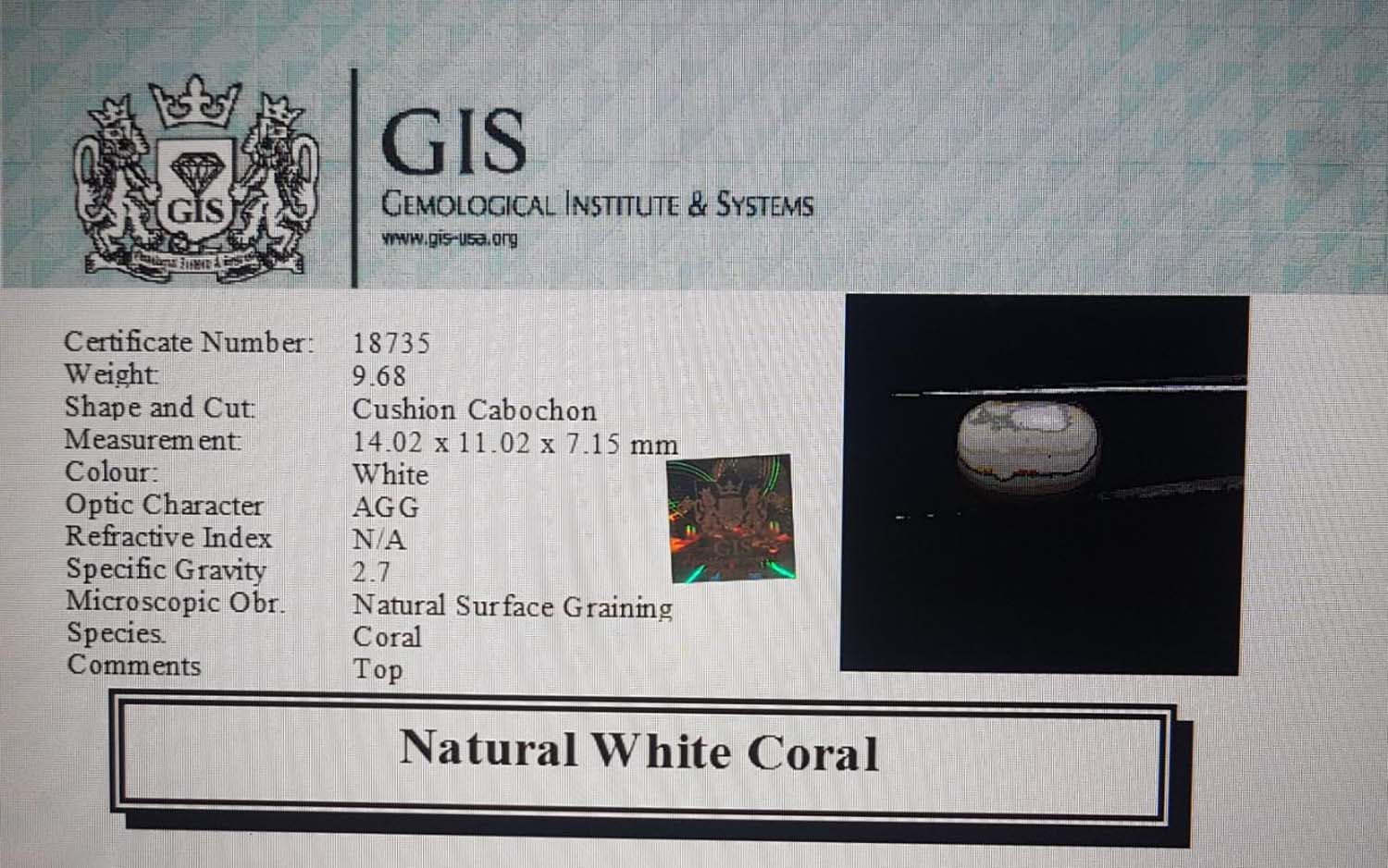 White Coral 9.68 Ct.