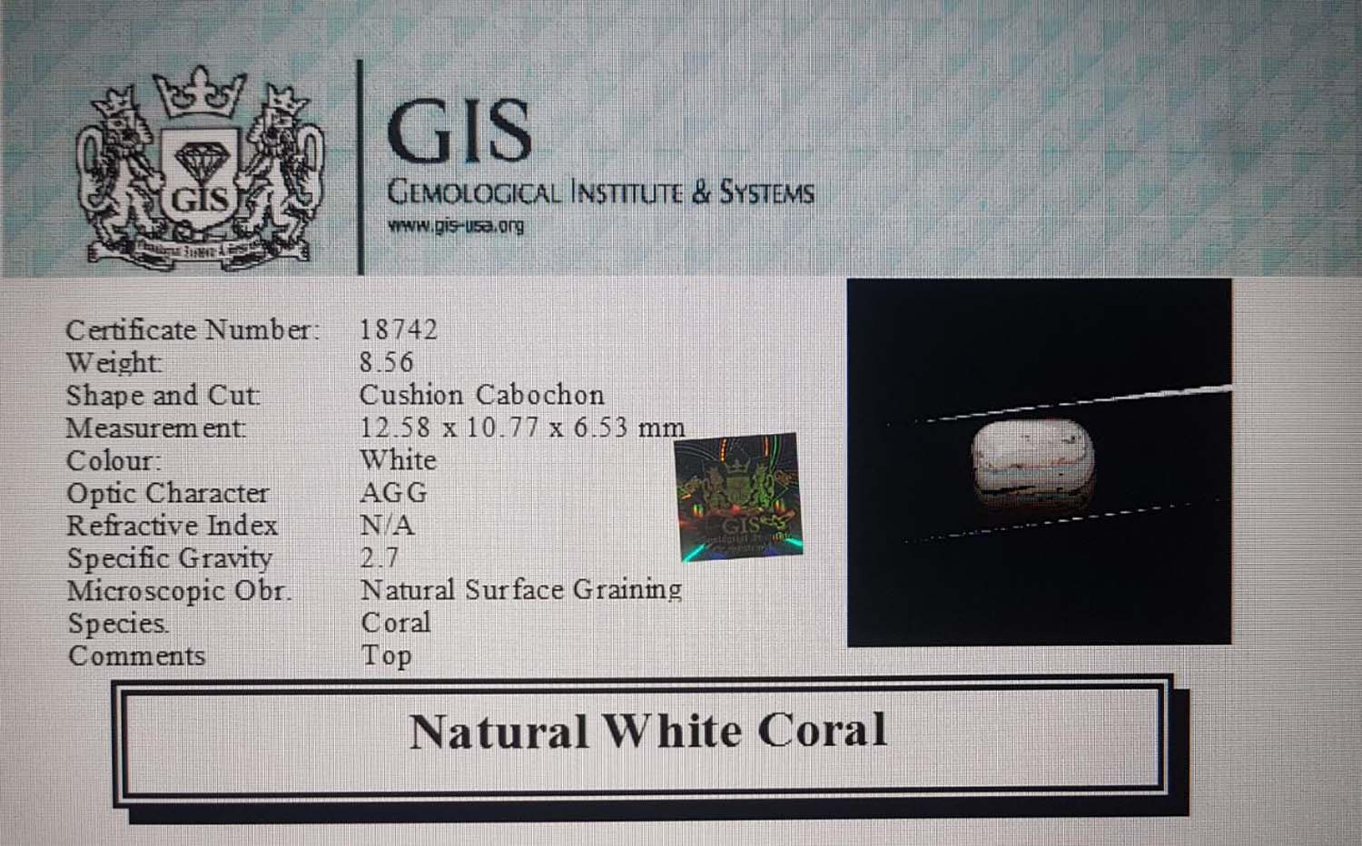 White Coral 8.56 Ct.