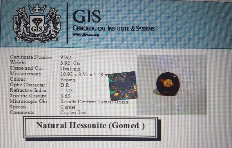 Hessonite 3.92 Ct.