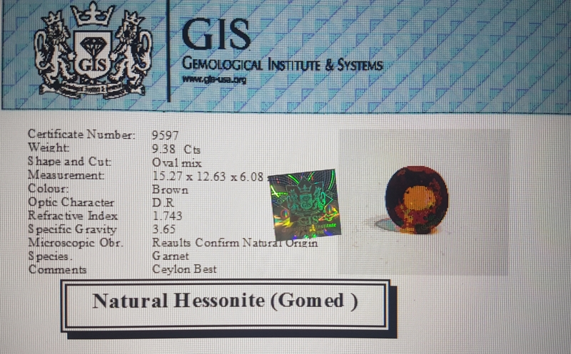 Hessonite 9.38 Ct.
