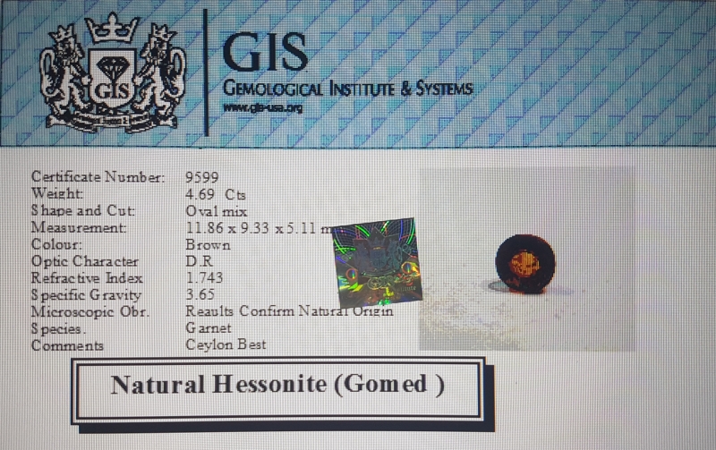 Hessonite 4.69 Ct.