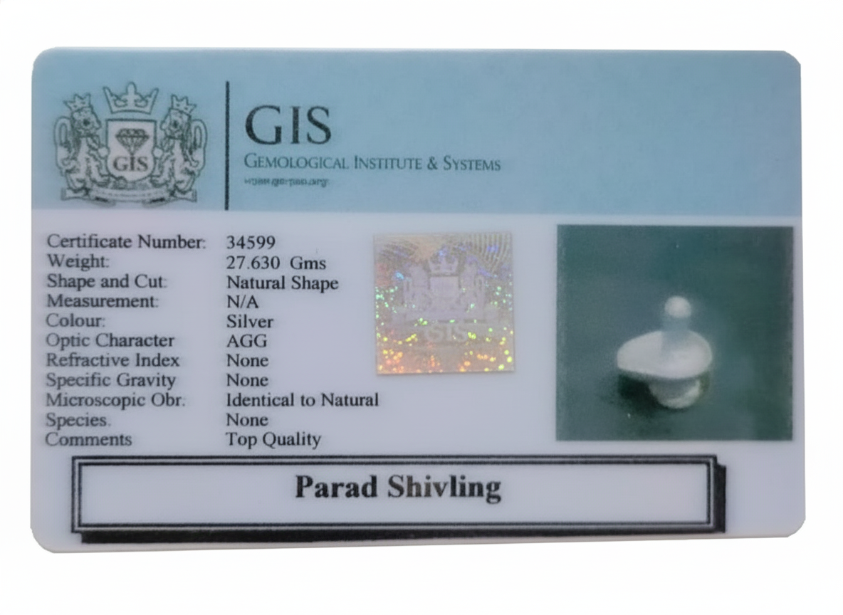 Parad Shivling 5 PKS1001 FX Parad Shivling