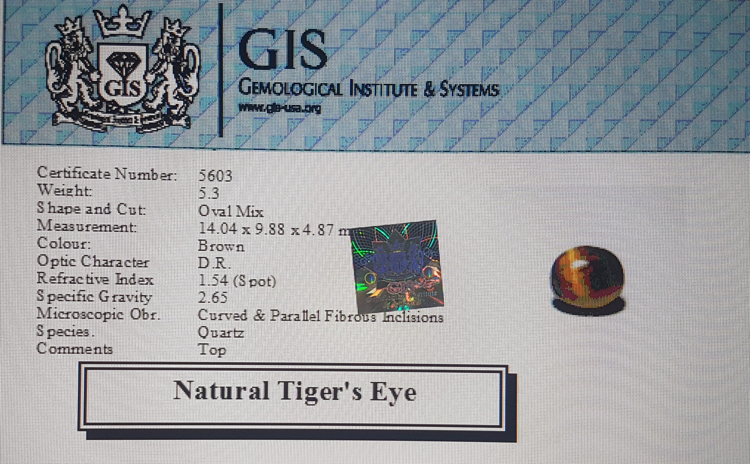 Tiger's Eye 5.30 Ct.