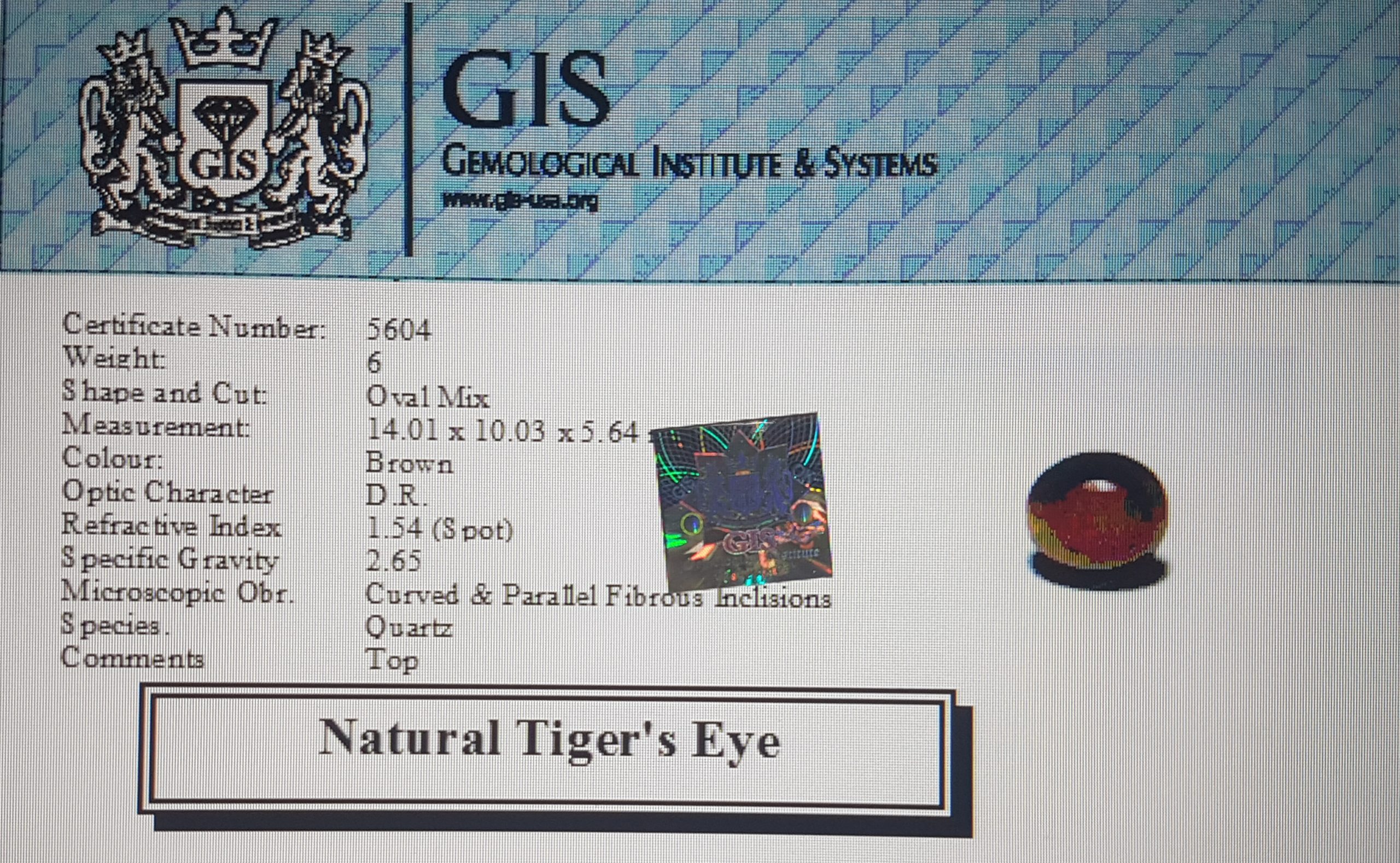 Tiger's Eye 6 Ct.