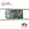 Moss Agate 16.66 Ct.