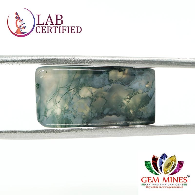 NSA12 2 Moss Agate 16.66 Ct.
